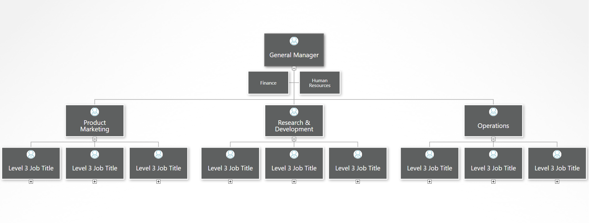 Functional organizational chart